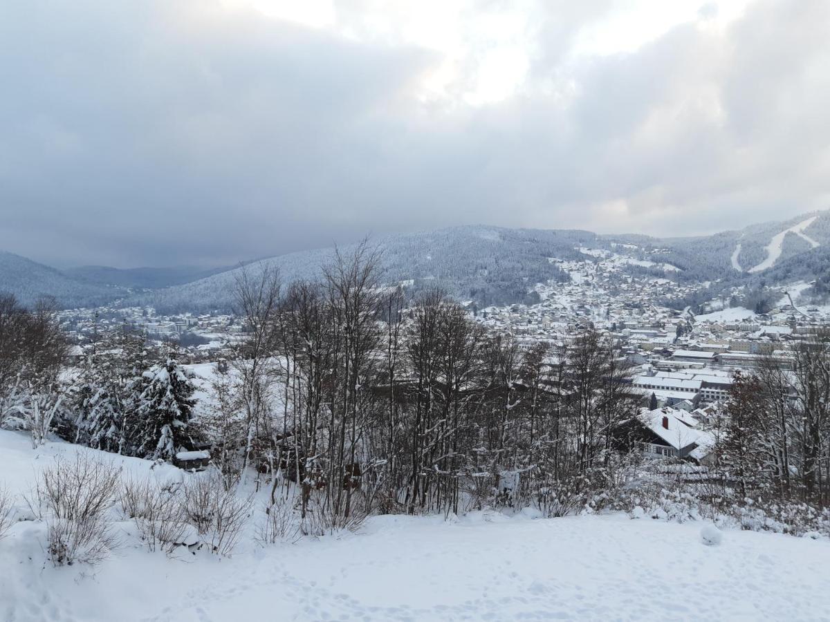Studio Les Bleuets Gérardmer Esterno foto