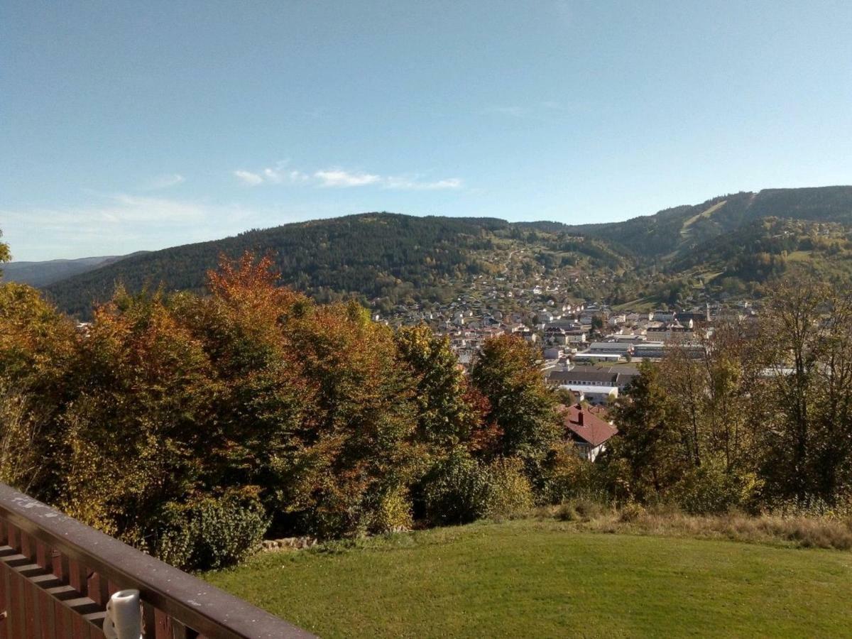 Studio Les Bleuets Gérardmer Esterno foto